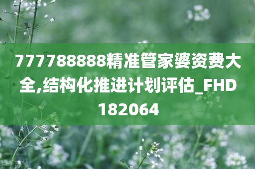 777788888精准管家婆资费大全,结构化推进计划评估_FHD182064