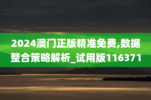 2024澳门正版精准免费,数据整合策略解析_试用版116371