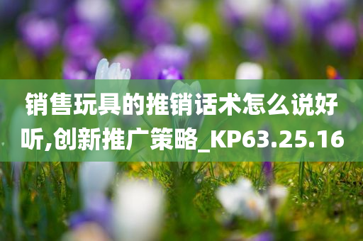 销售玩具的推销话术怎么说好听,创新推广策略_KP63.25.16