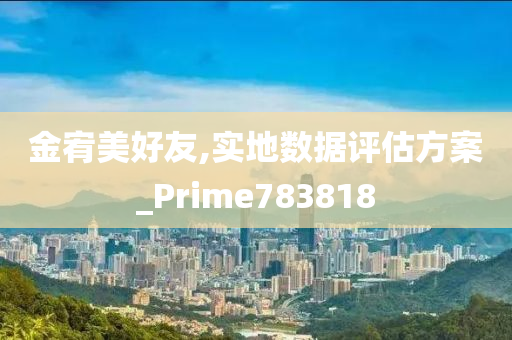 金宥美好友,实地数据评估方案_Prime783818