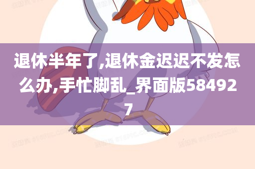 退休半年了,退休金迟迟不发怎么办,手忙脚乱_界面版584927