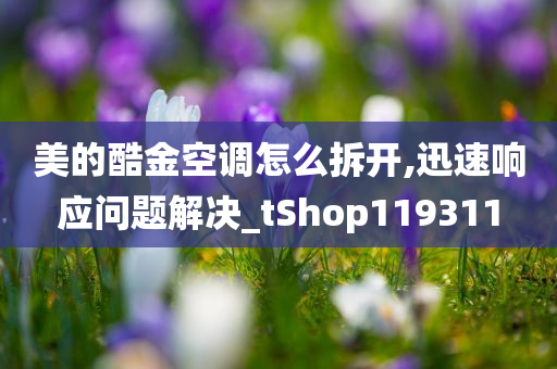 美的酷金空调怎么拆开,迅速响应问题解决_tShop119311