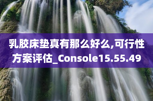 乳胶床垫真有那么好么,可行性方案评估_Console15.55.49