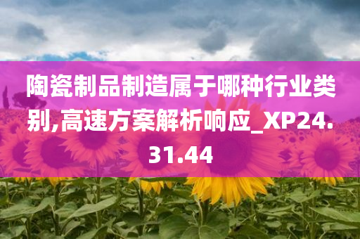 陶瓷制品制造属于哪种行业类别,高速方案解析响应_XP24.31.44