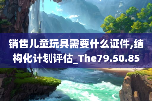 销售儿童玩具需要什么证件,结构化计划评估_The79.50.85