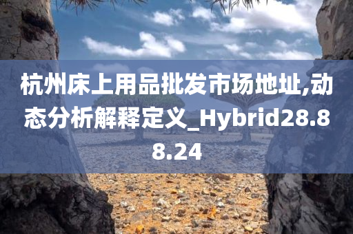 杭州床上用品批发市场地址,动态分析解释定义_Hybrid28.88.24