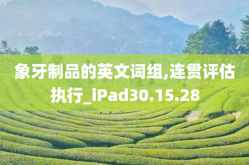 象牙制品的英文词组,连贯评估执行_iPad30.15.28