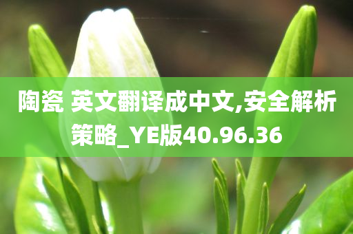 陶瓷 英文翻译成中文,安全解析策略_YE版40.96.36