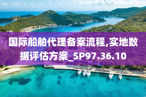 国际船舶代理备案流程,实地数据评估方案_SP97.36.10