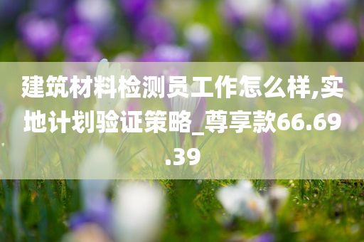 建筑材料检测员工作怎么样,实地计划验证策略_尊享款66.69.39