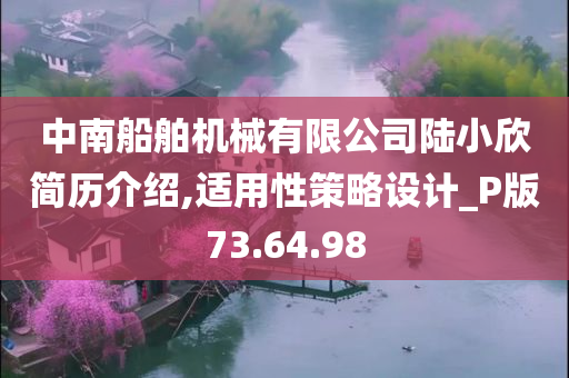 中南船舶机械有限公司陆小欣简历介绍,适用性策略设计_P版73.64.98