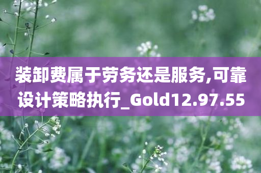 装卸费属于劳务还是服务,可靠设计策略执行_Gold12.97.55