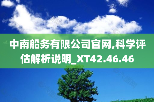 中南船务有限公司官网,科学评估解析说明_XT42.46.46