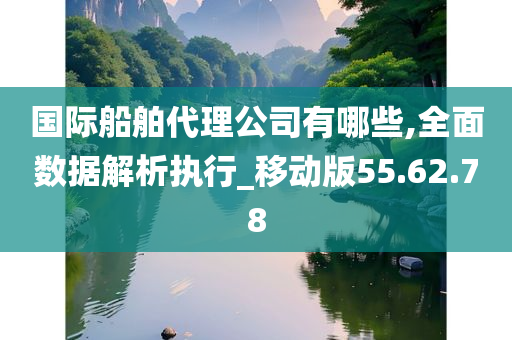 国际船舶代理公司有哪些,全面数据解析执行_移动版55.62.78