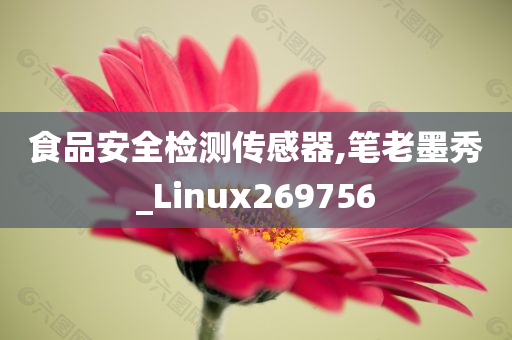 食品安全检测传感器,笔老墨秀_Linux269756