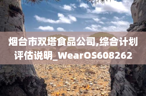 烟台市双塔食品公司,综合计划评估说明_WearOS608262