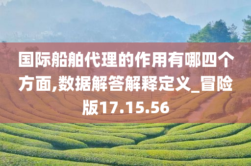 国际船舶代理的作用有哪四个方面,数据解答解释定义_冒险版17.15.56