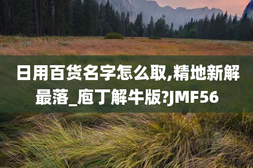 日用百货名字怎么取,精地新解最落_庖丁解牛版?JMF56