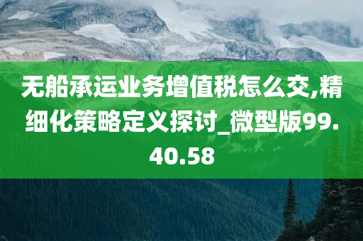 无船承运业务增值税怎么交,精细化策略定义探讨_微型版99.40.58