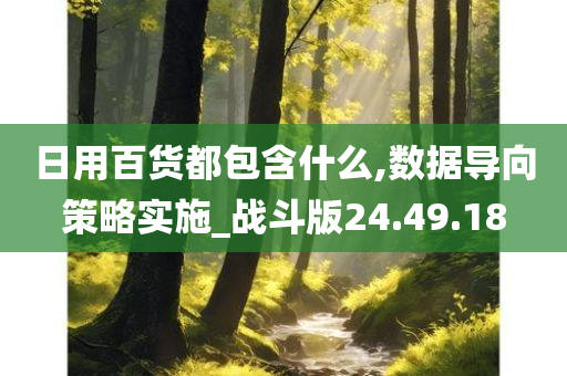 日用百货都包含什么,数据导向策略实施_战斗版24.49.18