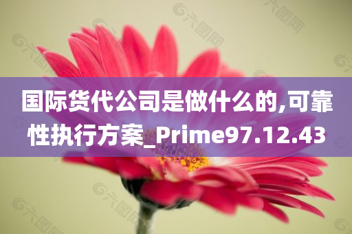 国际货代公司是做什么的,可靠性执行方案_Prime97.12.43