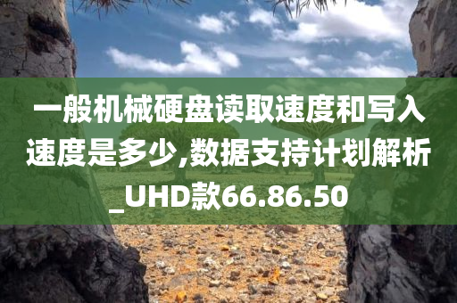 一般机械硬盘读取速度和写入速度是多少,数据支持计划解析_UHD款66.86.50