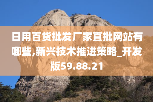 日用百货批发厂家直批网站有哪些,新兴技术推进策略_开发版59.88.21