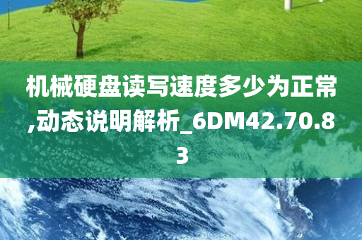 机械硬盘读写速度多少为正常,动态说明解析_6DM42.70.83