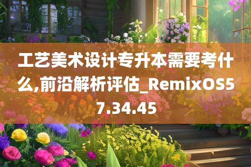 工艺美术设计专升本需要考什么,前沿解析评估_RemixOS57.34.45