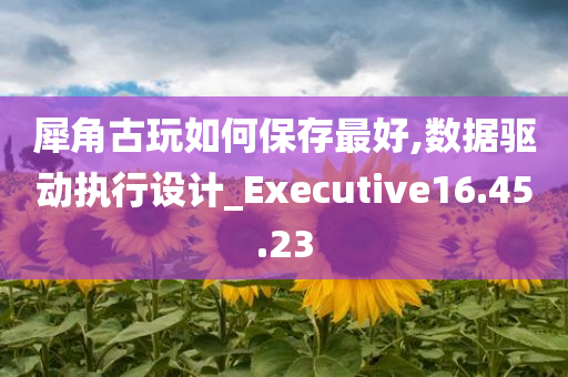 犀角古玩如何保存最好,数据驱动执行设计_Executive16.45.23