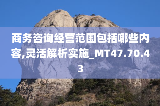 商务咨询经营范围包括哪些内容,灵活解析实施_MT47.70.43