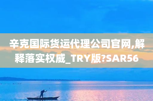 辛克国际货运代理公司官网,解释落实权威_TRY版?SAR56