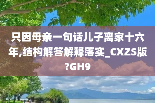 只因母亲一句话儿子离家十六年,结构解答解释落实_CXZS版?GH9