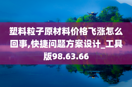 塑料粒子原材料价格飞涨怎么回事,快捷问题方案设计_工具版98.63.66