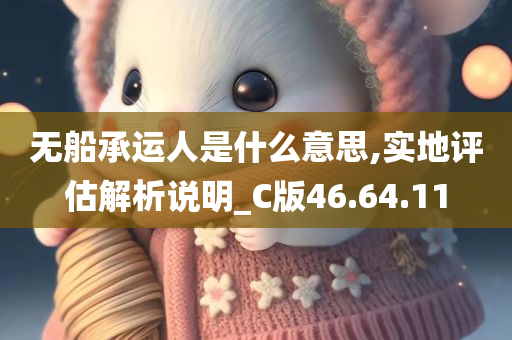 无船承运人是什么意思,实地评估解析说明_C版46.64.11