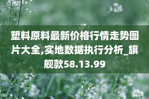 塑料原料最新价格行情走势图片大全,实地数据执行分析_旗舰款58.13.99