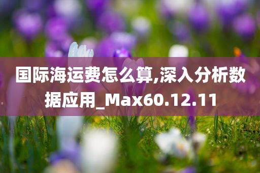 国际海运费怎么算,深入分析数据应用_Max60.12.11