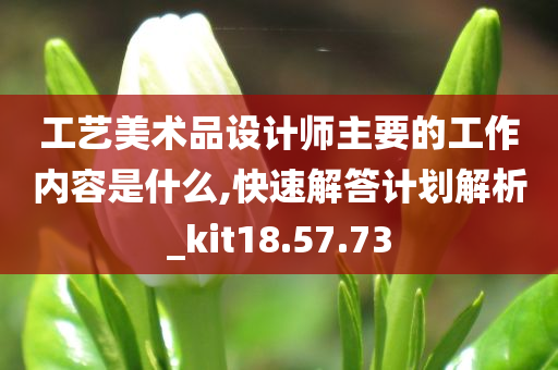 工艺美术品设计师主要的工作内容是什么,快速解答计划解析_kit18.57.73