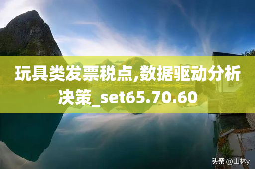 玩具类发票税点,数据驱动分析决策_set65.70.60