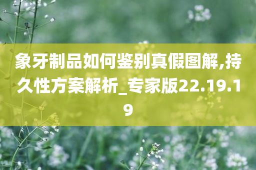 象牙制品如何鉴别真假图解,持久性方案解析_专家版22.19.19