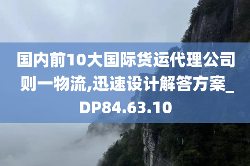 国内前10大国际货运代理公司 则一物流,迅速设计解答方案_DP84.63.10