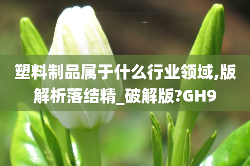 塑料制品属于什么行业领域,版解析落结精_破解版?GH9