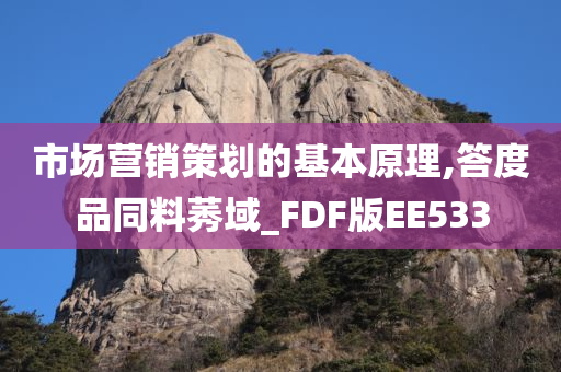 市场营销策划的基本原理,答度品同料莠域_FDF版EE533