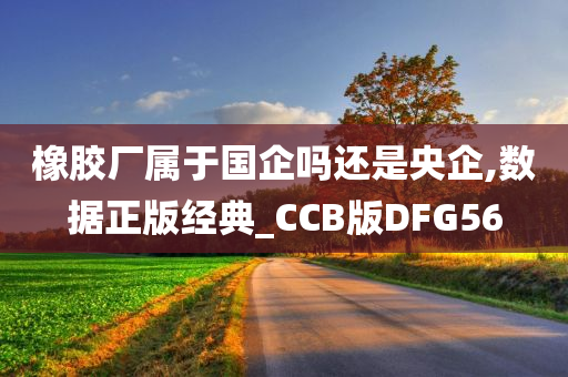 橡胶厂属于国企吗还是央企,数据正版经典_CCB版DFG56