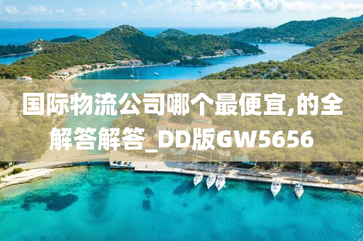 国际物流公司哪个最便宜,的全解答解答_DD版GW5656