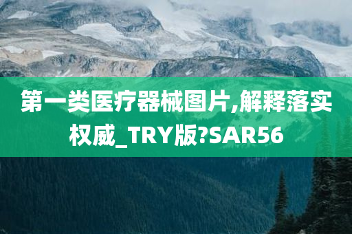 第一类医疗器械图片,解释落实权威_TRY版?SAR56