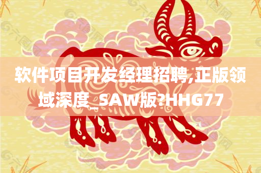 软件项目开发经理招聘,正版领域深度_SAW版?HHG77