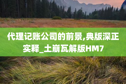 代理记账公司的前景,典版深正实释_土崩瓦解版HM7