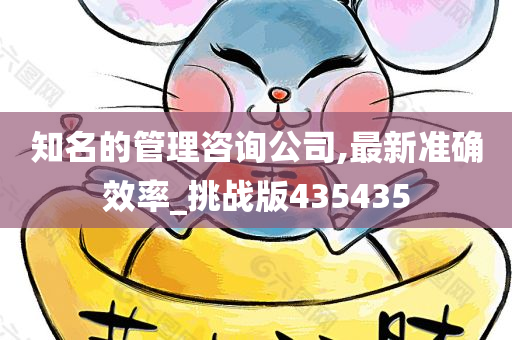 知名的管理咨询公司,最新准确效率_挑战版435435