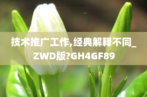 技术推广工作,经典解释不同_ZWD版?GH4GF89